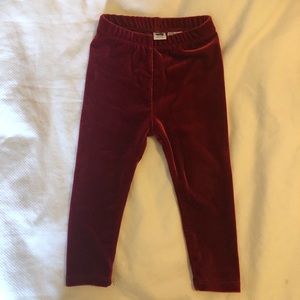 Red Stretch velvet pants